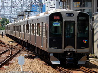 素体