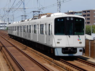 素体