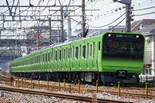 テスト2(黄緑色)