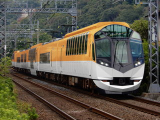 阪神特急(新塗装)