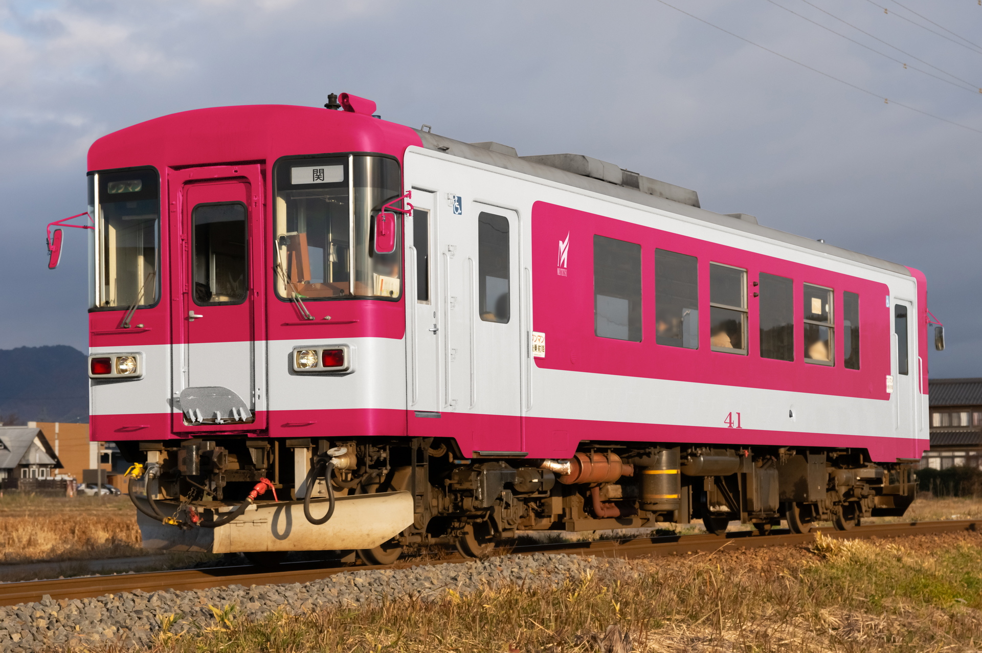 185系のウソ電(横須賀ブロック色)